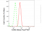 KD-Validated Anti-CD82 Rabbit Monoclonal Antibody